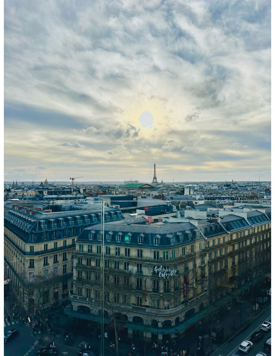 Paris rooftop view